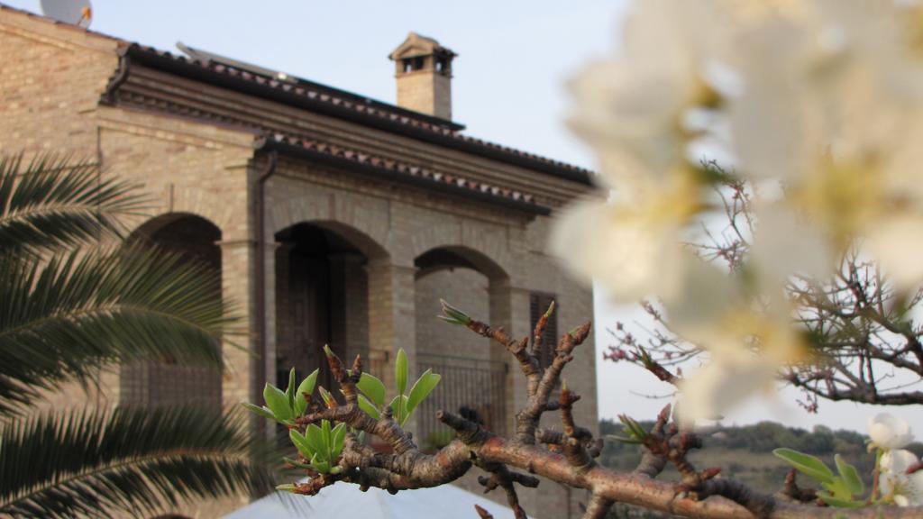 阿拉托和罗斯玛瑞诺住宿加早餐旅馆 西维尔诺瓦·马尔凯 外观 照片